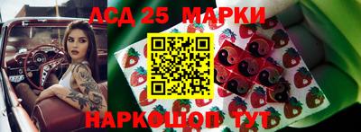 кокс Можга