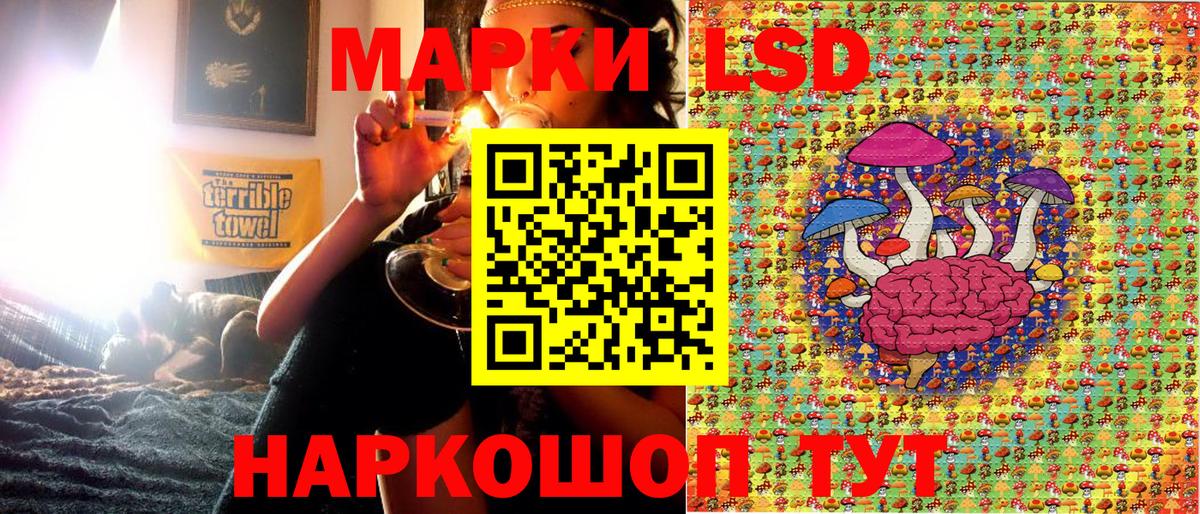 Губкинский  Марки N-bome 1,8мг  Вход с VPN 
